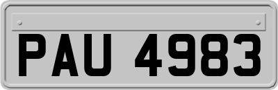 PAU4983