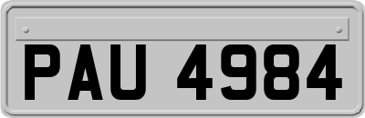 PAU4984