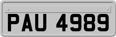 PAU4989