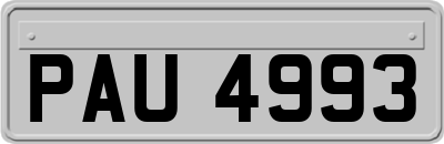 PAU4993