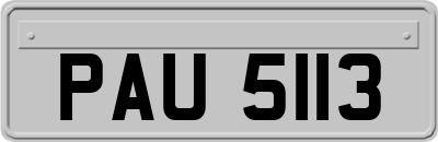 PAU5113