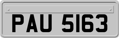 PAU5163