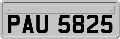 PAU5825