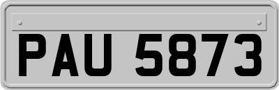 PAU5873