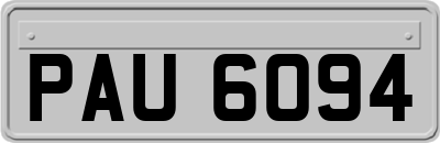 PAU6094