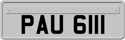 PAU6111