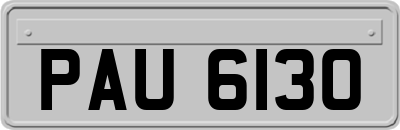 PAU6130