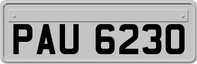 PAU6230
