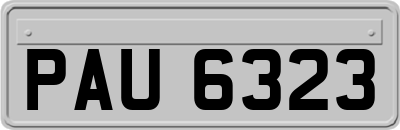 PAU6323