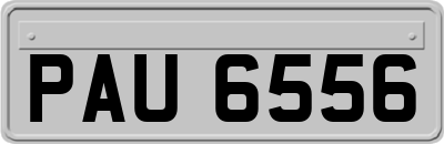 PAU6556