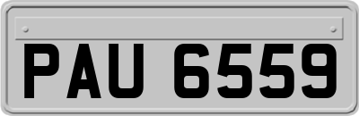PAU6559
