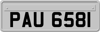 PAU6581