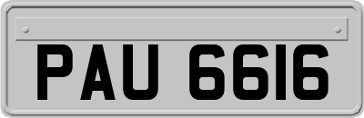 PAU6616