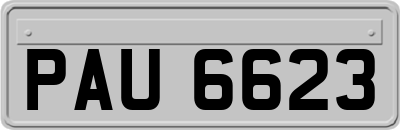 PAU6623