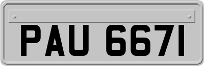 PAU6671