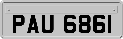 PAU6861