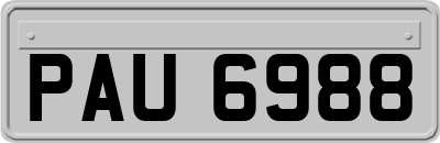 PAU6988