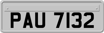PAU7132