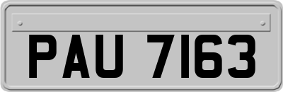PAU7163