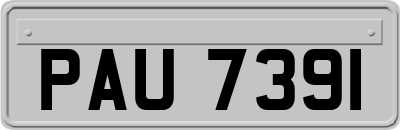 PAU7391