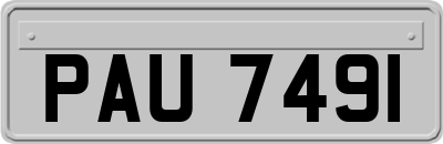 PAU7491