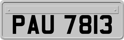 PAU7813