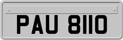 PAU8110