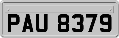 PAU8379