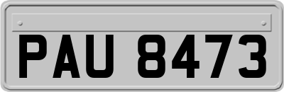 PAU8473