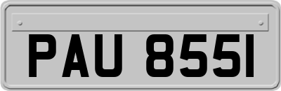 PAU8551