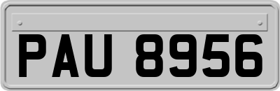 PAU8956