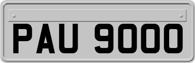 PAU9000