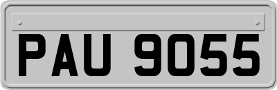 PAU9055