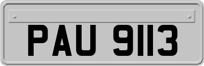 PAU9113