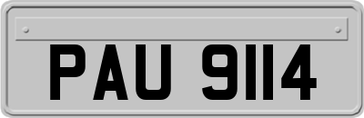 PAU9114