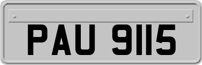 PAU9115