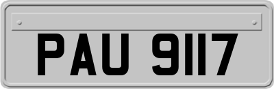 PAU9117