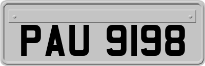 PAU9198