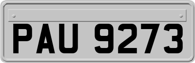 PAU9273
