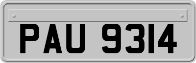 PAU9314