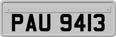 PAU9413