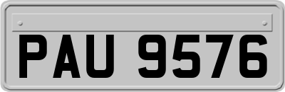PAU9576