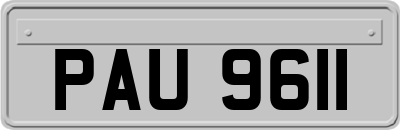 PAU9611