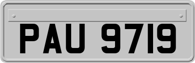 PAU9719