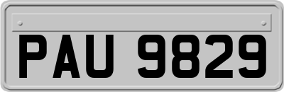 PAU9829