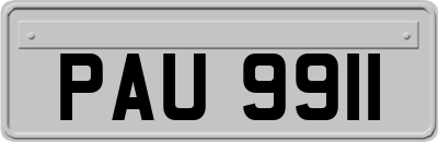 PAU9911