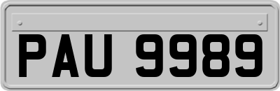 PAU9989
