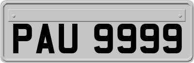 PAU9999