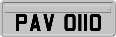 PAV0110
