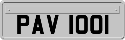 PAV1001